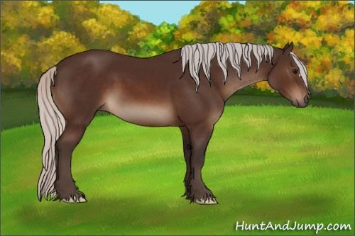 Horse Color:Silver Brown 