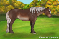 Horse Color:Silver Brown 