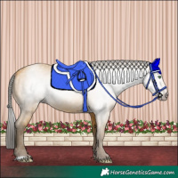 Horse Color:Gray Amber Cream Champagne 