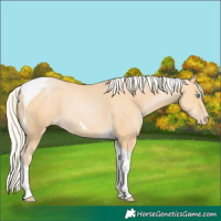 Horse Color:Silver Buckskin Pearl Tobiano 