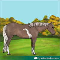 Horse Color:Silver Black Tobiano 