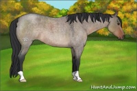 Horse Color:Brown Roan Dun 
