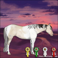 Horse Color:Sable Champagne Dun Sabino Tobiano Rabicano 