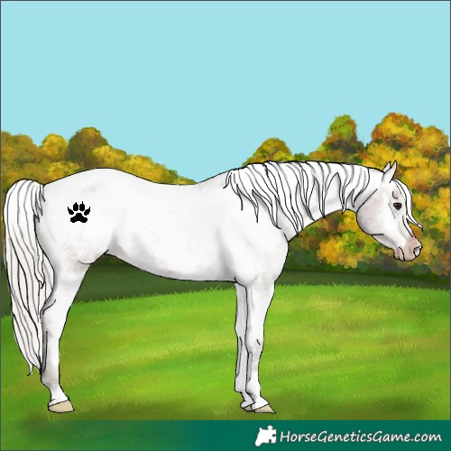 Horse Color:White Spotted Silver Brown Varnish