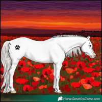 Horse Color:Silver Brown Dun Tobiano Varnish Rabicano 