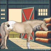 Horse Color:Chocolate Palomino Pearl Appaloosa
