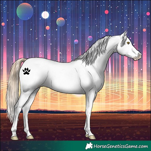 Horse Color:White Spotted Liver Red Dun Pearl Appaloosa 