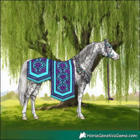 Horse Color:Silver Black Snowflake Varnish 