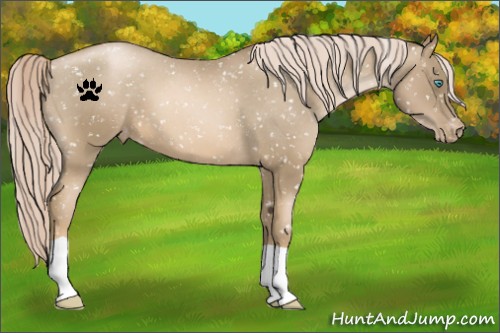 Horse Color:Chocolate Palomino Pearl Snowflake Varnish