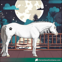 Horse Color:Brown Roan Dun Appaloosa