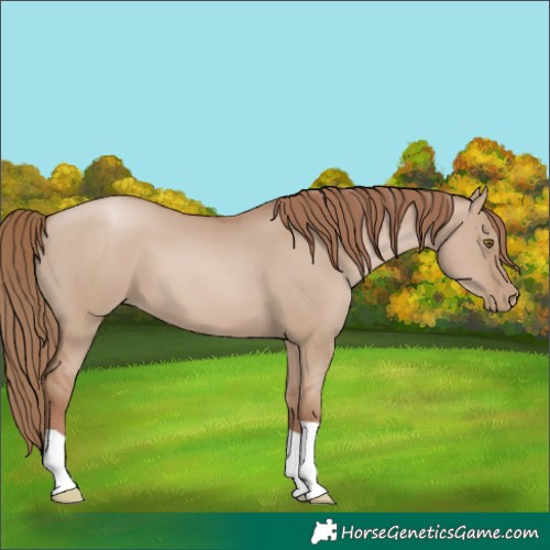 Horse Color:Grullo Pearl Mushroom 