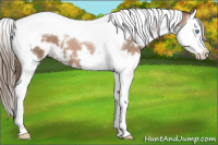 Horse Color:White Spotted Black Pearl Splash Tobiano