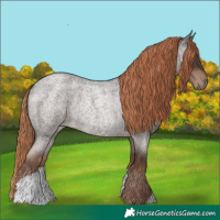Horse Color:Liver Red Roan Rabicano 