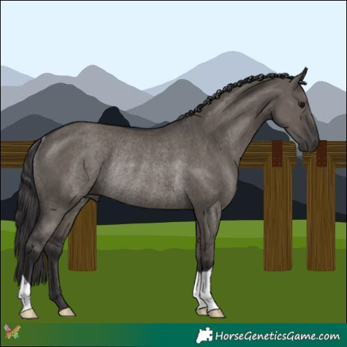 Horse Color:Smoky Grullo Rabicano 