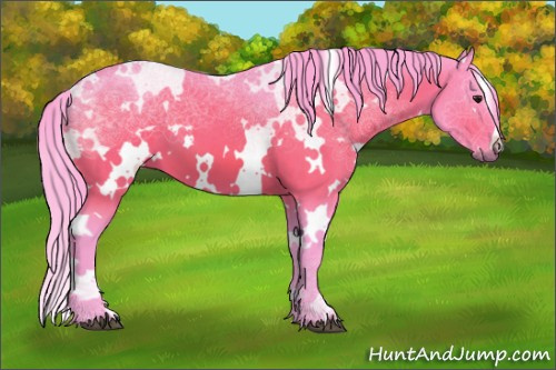 Horse Color:Watercolor White Spotted Brown 