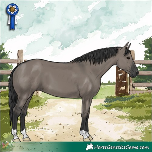 Horse Color:Grullo 