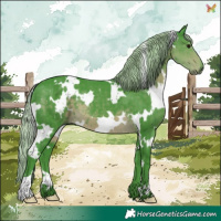 Horse Color:Watercolor White Spotted Silver Smoky Black 
