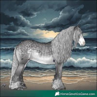 Horse Color:Silver Smoky Black Chinchilla 