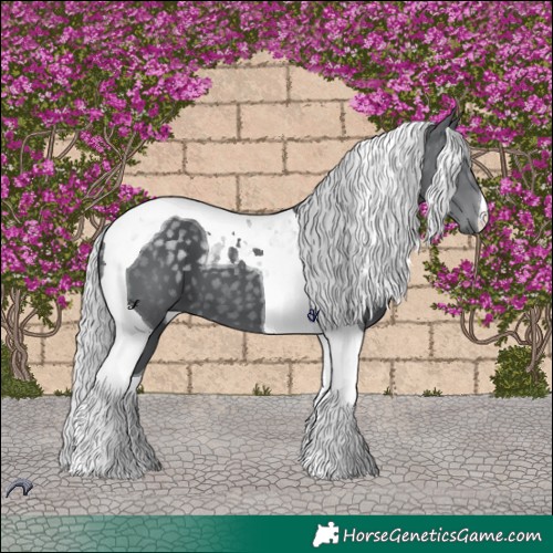 Horse Color:Silver Black Chinchilla Tobiano 