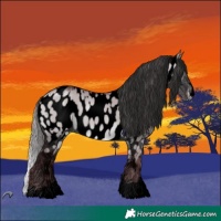 Horse Color:Void Chocolate Brown Chinchilla Dun Near Leopard 