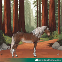 Horse Color:Liver Chestnut Mushroom Tobiano 