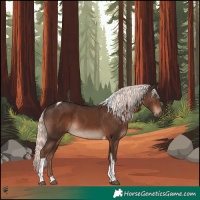 Horse Color:Liver Chestnut Mushroom Tobiano 