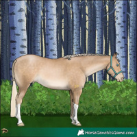 Horse Color:Chocolate Palomino Pearl Mushroom Tobiano 