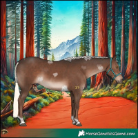 Horse Color:Liver Chestnut Mushroom Tobiano 