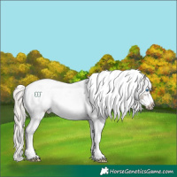 Horse Color:White Spotted Silver Grullo Ice Frame