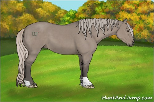 Horse Color:Silver Grullo 