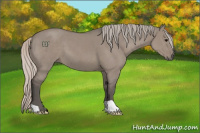 Horse Color:Silver Grullo 