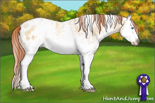 Horse Color:White Spotted Classic Cream Champagne Pearl Splash Appaloosa 