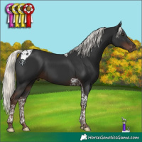 Horse Color:Liver Chestnut Mushroom Tobiano 