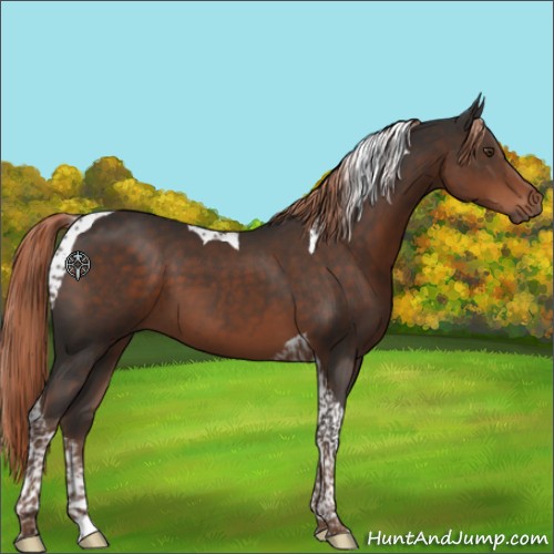 Horse Color:Liver Chestnut Tobiano 