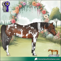Horse Color:White Spotted Brown 