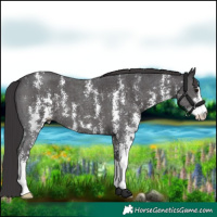 Horse Color:Smoky Black Sabino