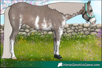 Horse Color:Silver Black Sabino 