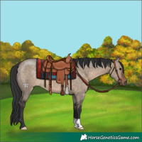 Horse Color:Brown Dun