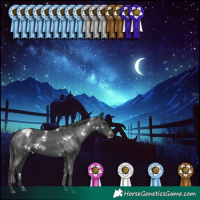 Horse Color:White Spotted Black Appaloosa