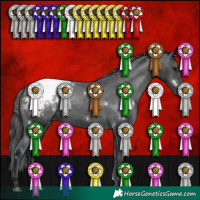 Horse Color:White Spotted Black Appaloosa