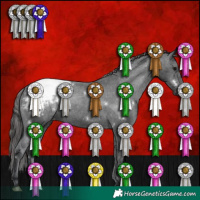 Horse Color:White Spotted Black Appaloosa