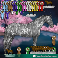Horse Color:White Spotted Silver Smoky Creme Splash Appaloosa  and White Spotted Black Appaloosa 