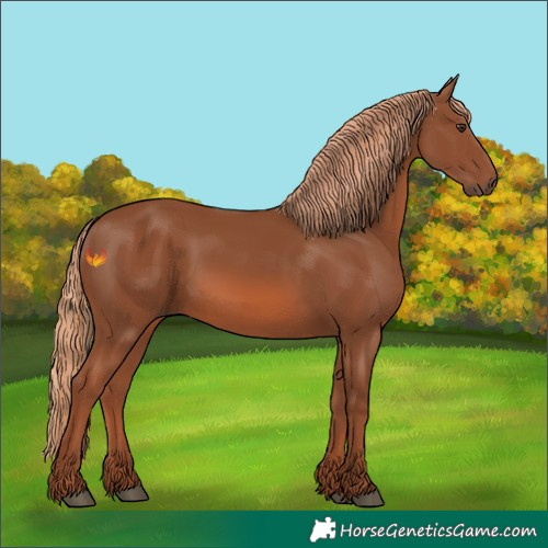 Horse Color:Chestnut 