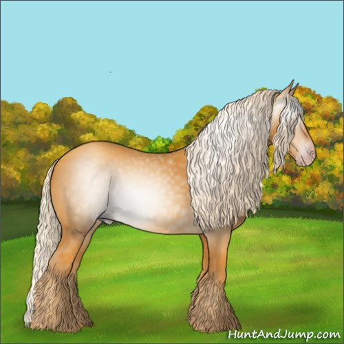 Horse Color:Gray Gold Cream Champagne 