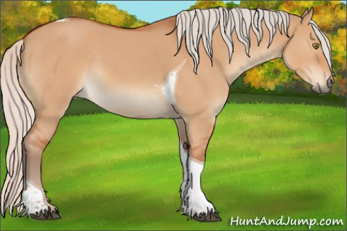 Horse Color:Silver Brown Dun Tobiano 