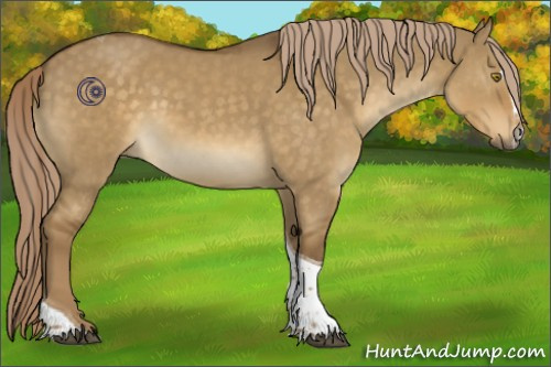 Horse Color:Chocolate Palomino Dun Sabino Tobiano 