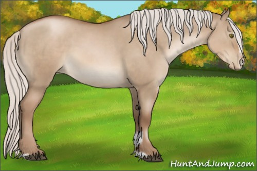 Horse Color:Silver Grullo Pearl Sabino 