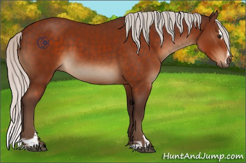 Horse Color:Silver Brown Sabino 