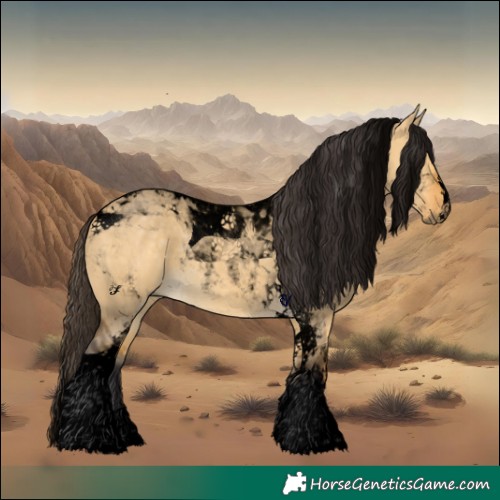 Horse Color:Void Buckskin Dun Tobiano 
