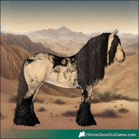 Horse Color:Void Buckskin Dun Tobiano 
